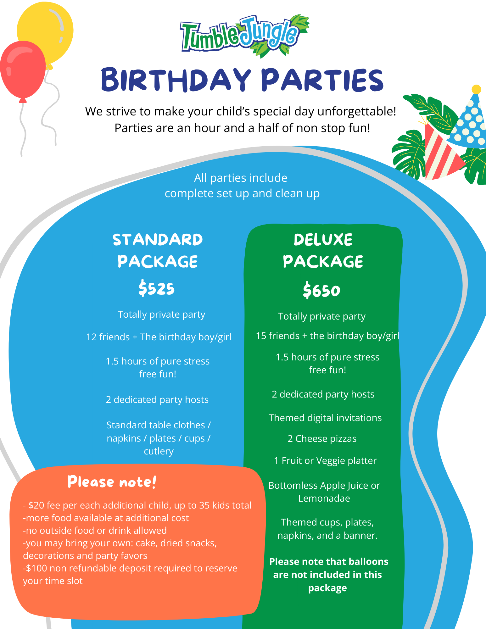 Birthday Party Flyer 2